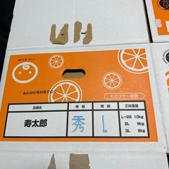 ラブライブ　寿太郎　みかん　箱　ダンボールの画像