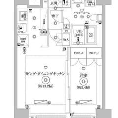IN🌷即入居可！築浅高級賃貸マンション✨最上階のお部屋♪東…