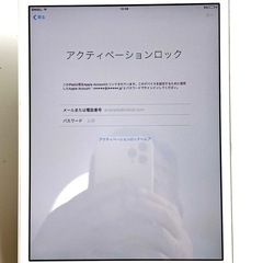 【ジャンク】iPad mini 第一世代 A1455 セルラーモデルの画像
