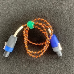 EV ベース用スピーカー　300Wの画像