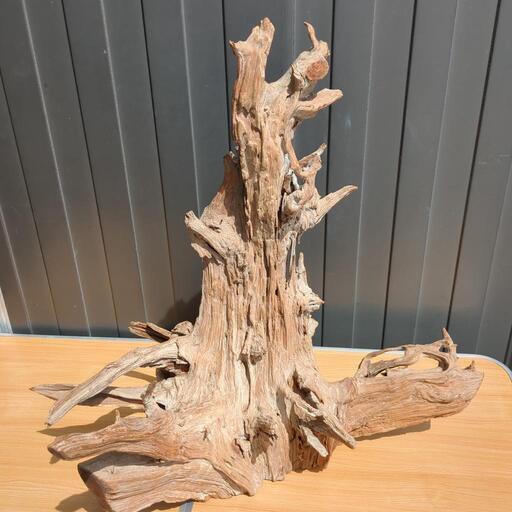 特大 流木 古木 古材 枯木 置物 オブジェ インテリア (ひろ