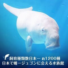 LINEグループ(自然に触れる会東海)メンバー募集！