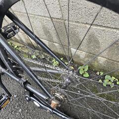 KONA　Paddy Wagonの画像