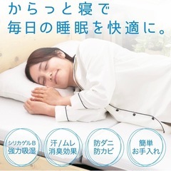 【決まりました】西川　からっと寝　セミダブルサイズ　110×180cmの画像