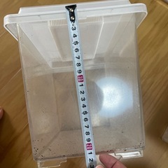 虫かご　大きめ　2セット産卵におすすめの画像