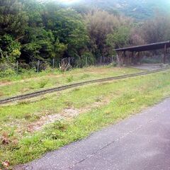 土地 農地 畑 あげます 譲ります 無料 1～５筆 農振地 農地法による農業委員会の許可が必要！ 日当たり良好 果樹園 農産物 家庭菜園など - 不動産