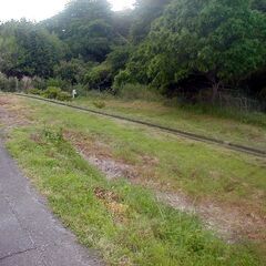 土地 農地 畑 あげます 譲ります 無料 1～５筆 農振地 農地法による農業委員会の許可が必要！ 日当たり良好 果樹園 農産物 家庭菜園など − 兵庫県