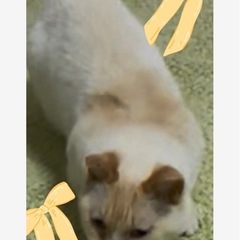 【大至急】幸せにしてあげてください