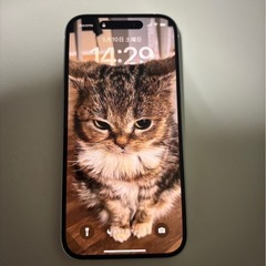 iphone15 256GB (本日限定)