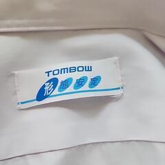 カッターシャツ　学生の画像