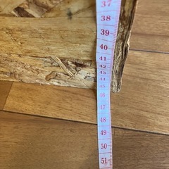 爬虫類ケージの画像