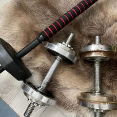 【筋トレセット】ダンベル 10kg×2 ＋ 可変式ダンベル Wout ＋ トレーニングベンチの画像