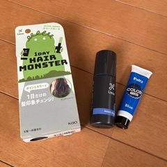1DAYポイントカラー
