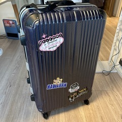 低騒音型バイブレーションローラー | MRH-700DSB | 三笠産業