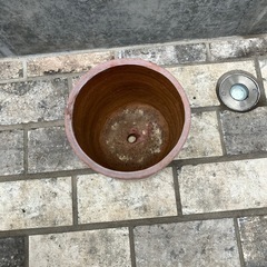 植木鉢の画像