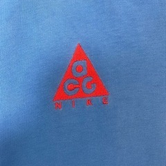 NIKE ACG ナイキエーシージー 刺繍ロゴ tシャツ Mサイズの画像