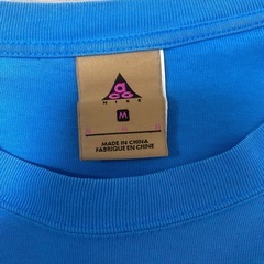 NIKE ACG ナイキエーシージー 刺繍ロゴ tシャツ Mサイズの画像