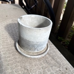 【週末購入なければ処分】コンクリート植木鉢