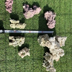 海水水槽器具・中身一式の画像