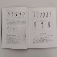 歯の解剖学 第22版の画像