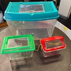 虫かご　３つセット