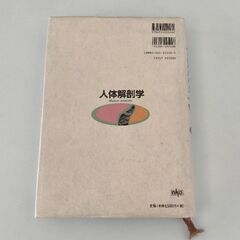 人体解剖学の画像