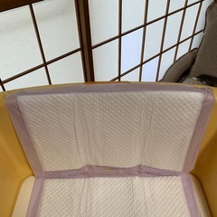 美品　ワンチャン用トイレ　500円の画像