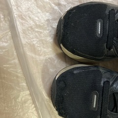 17センチまとめ売りの画像