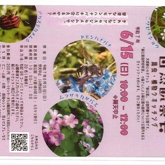 靱（うつぼ）公園　自然観察会