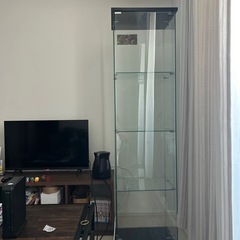 フィギュア　ケース　ガラス