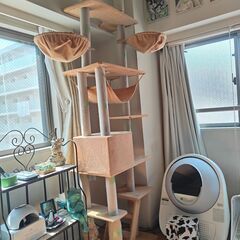 キャットタワー突っ張りタイプ✤毛だらけボロボロですが貰ってやってください✤説明書あります
