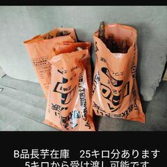 南部町産土付き長芋　2025春掘り　②