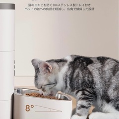 猫　自動給餌器の画像