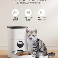猫　自動給餌器