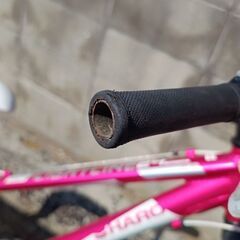 HARO BIKES / FLIGHTLINE 24　24インチ　マウンテンバイクの画像