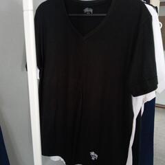 STUSSY　テイシャツ　