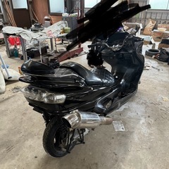 マジェスティーの画像