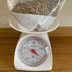カメの餌　亀の餌　エサ　ペットフードの画像