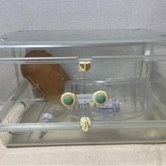 グラスハーモニー450