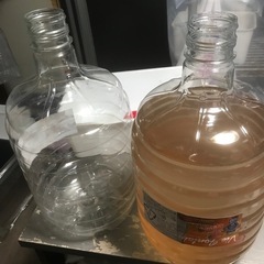 メダカ🔔針子、稚魚、成魚🔔ゾウリムシ2000円🔔6リッター＋空の...