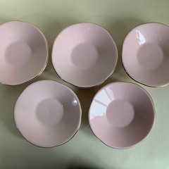 小皿 豆皿 珍味皿 正月 お祝い おもてなし　5枚セット