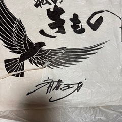 帯の画像