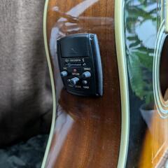 【美品】Epiphone PRO-1 Ultra VS エレアコの画像
