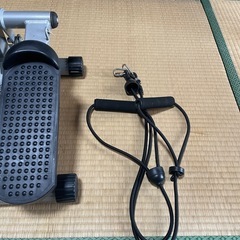 パワーバンド付きステッパーの画像