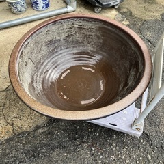 1074😺　大谷　特大　
メダカ鉢　睡蓮鉢　