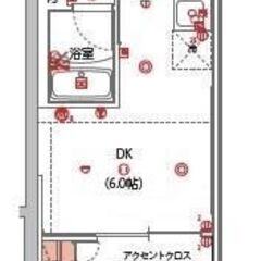 IN🌷高級デザイナーズマンション✨敷金、礼金、仲介手数料ゼ…