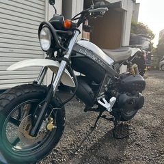 【原付50㏄バイク車体】スズキ　ストリートマジック＊フルパワー7.2馬力＠神奈川県川崎市よりの画像