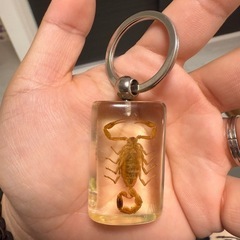 白サソリ】 キーホルダー 昆虫 アクセサリーパーツ ペンダントトップにも ストラップ 海外雑貨 キーリング キーチャーム レジン 樹脂の画像