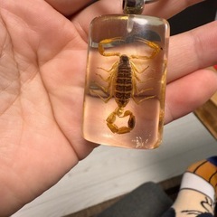 白サソリ】 キーホルダー 昆虫 アクセサリーパーツ ペンダントトップにも ストラップ 海外雑貨 キーリング キーチャーム レジン 樹脂の画像