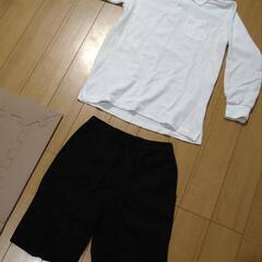 白いポロシャツと半ズボンの画像